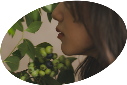 top-information-loop02